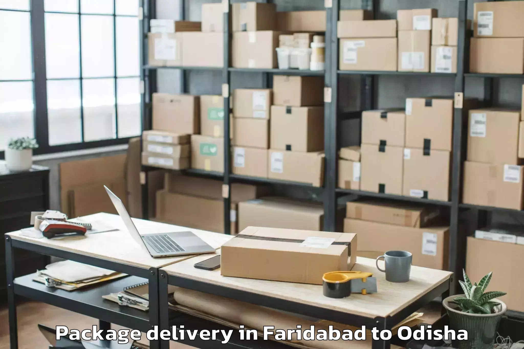 Trusted Faridabad to Central University Of Odisha K Package Delivery